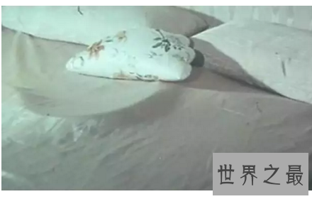 【图】与蛇无关的电影青睐寻求刺激的小同伴可能码住