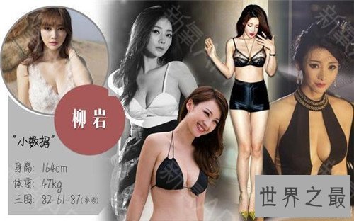 【图】女明星谁的胸最大 柳岩的胸可谓文娱圈最有料明