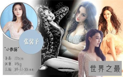 【图】女明星谁的胸最大 柳岩的胸可谓文娱圈最有料明
