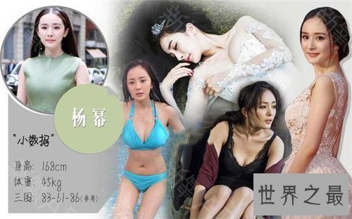 【图】女明星谁的胸最大 柳岩的胸可谓文娱圈最有料明