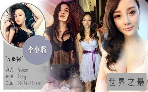 【图】女明星谁的胸最大 柳岩的胸可谓文娱圈最有料明