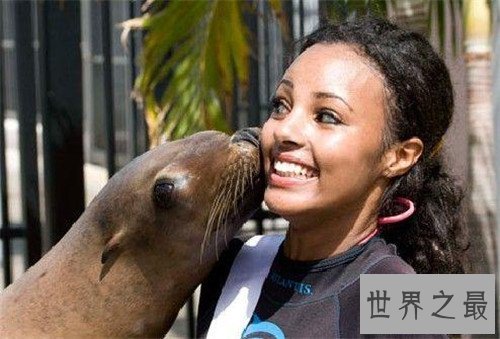 【图】埃塞俄比亚美女盛产丰富 非洲最穷的国家美女最