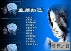 【图】蓝颜知己什么意思 蓝颜知己与男闺蜜的区别