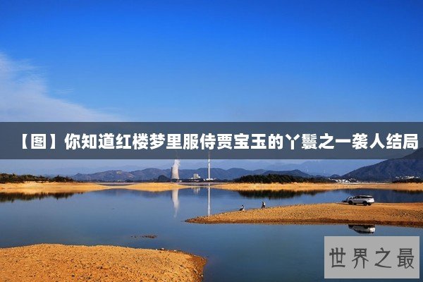 【图】你知道红楼梦里服侍贾宝玉的丫鬟之一袭人结局