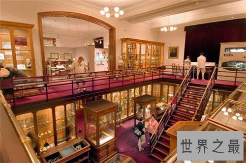 【图】美国费城马特博物馆可谓恐惧地狱 搜集畸形尸体