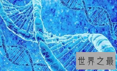 【图】世界第五人种，最奇怪的蓝色人种是切实存在的