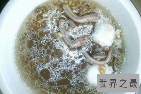 【图】咱们应该怎样去养殖有祛风除湿效用的泥蛇