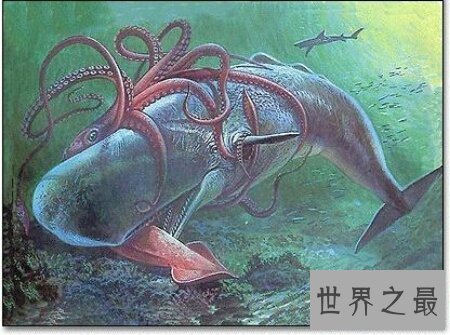 【图】世界上五大深海巨怪你知道几种 一同来揭秘吧
