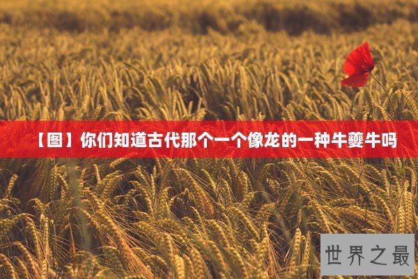 【图】你们知道古代那个一个像龙的一种牛夔牛吗