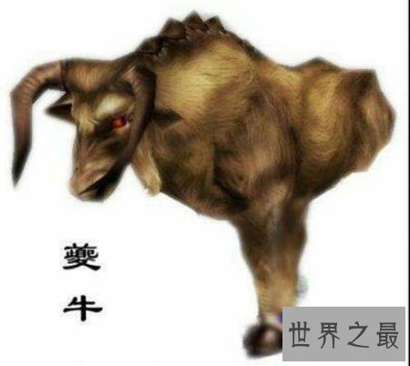 【图】你们知道现代那个一个像龙的一种牛夔牛吗
