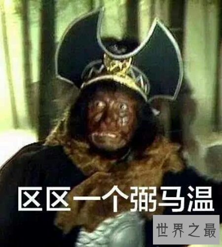 【图】你知道西游记中的那个可怕容貌俊俏的黑熊怪吗