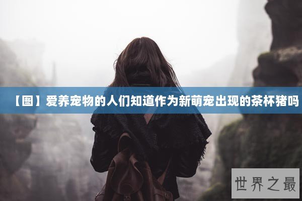 【图】爱养宠物的人们知道作为新萌宠出现的茶杯猪吗