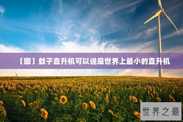 【图】蚊子直升机可以说是世界上最小的直升机
