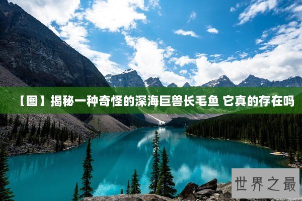 【图】揭秘一种奇怪的深海巨兽长毛鱼 它真的存在吗