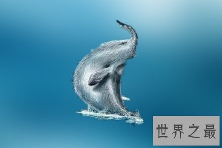 【图】揭秘一种奇异的深海巨兽长毛鱼 它真的存在吗