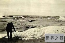 【图】揭秘一种奇怪的深海巨兽长毛鱼 它真的存在吗
