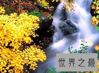 【图】在我国的音乐史上出现了很多著名的曲子 我国十