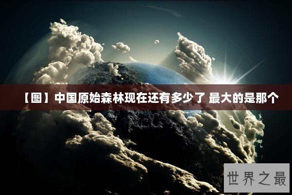 【图】中国原始森林现在还有多少了 最大的是那个