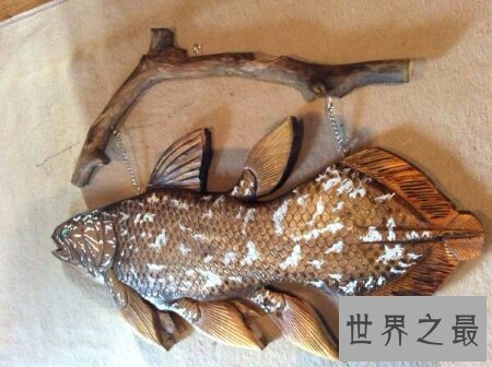 【图】你知道腔棘鱼是什么吗 它能否真的灭绝了呢