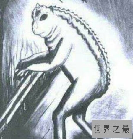 【图】你们知道那个像外星人一样的多佛恶魔吗