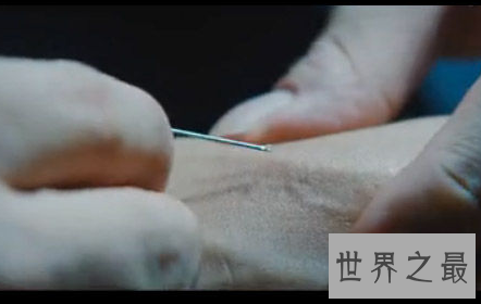 【图】不幸之人做了可恨的事期待他的便是注射死刑