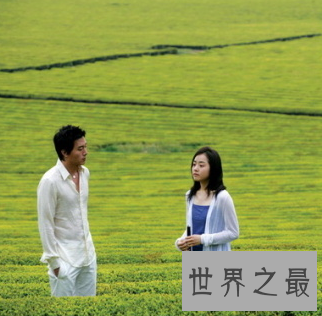 【图】海内存知己 那红颜知己和蓝颜知己的区别呢