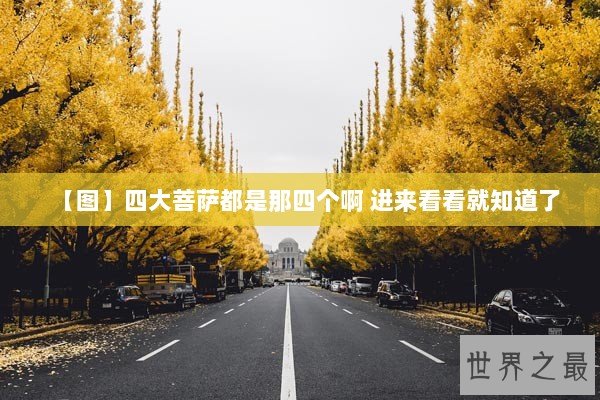 【图】四大菩萨都是那四个啊 进来看看就知道了
