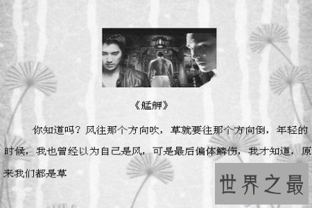 【图】生存中有许多感动人心的故事 让人不由潸然泪下