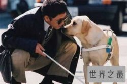 【图】生活中有许多感动人心的故事 让人不禁潸然泪下