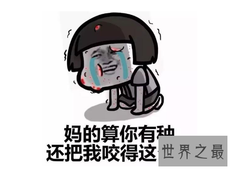 【图】家里放一物绝对没蚊子 平安瘦弱没有化学损伤