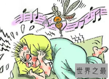 【图】家里放一物绝对没蚊子 平安瘦弱没有化学损伤