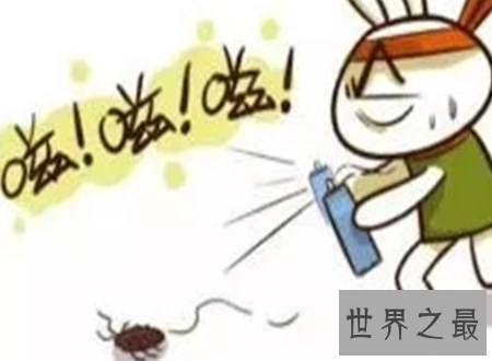 【图】家里放一物绝对没蚊子 平安瘦弱没有化学损伤