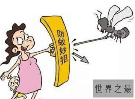 【图】家里放一物绝对没蚊子 平安瘦弱没有化学损伤