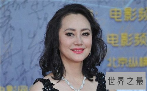 【图】宋佳老公是谁 情路崎岖曾教训三段婚姻