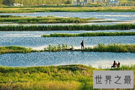 【图】有哪些冷门的民俗话比如四大绿指的是什么