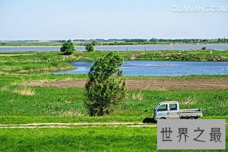 【图】有哪些冷门的民俗话比如四大绿指的是什么