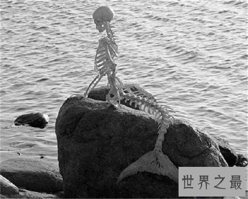 【图】世界上有美人鱼吗 关于美人鱼的切实报道旧事