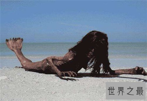 【图】世界上有美人鱼吗 关于美人鱼的切实报道旧事