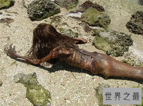 【图】世界上真的有美人鱼吗 关于美人鱼的具体记录