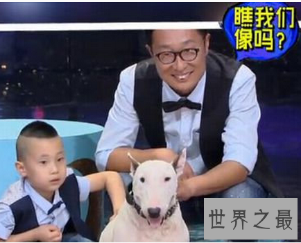 【图】孙红雷与牛头梗之后 林永健狗出现于江湖之中