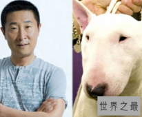 【图】孙红雷与牛头梗之后 林永健狗出现于江湖之中