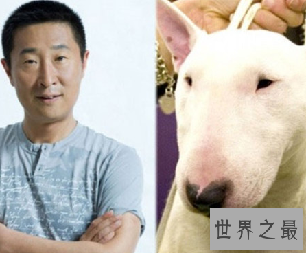 【图】孙红雷与牛头梗之后 林永健狗出现于江湖之中