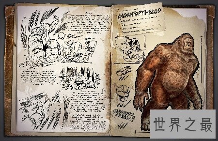 【图】巨猿有几个品种 每个品种都有哪些特点及习性