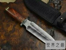 【图】大马士革刀是什么样的刀 它是怎么做成的