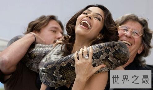【图】蛇电影大全，关于蛇的奇特电影