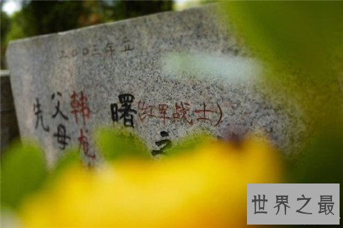 【图】韩曙是抗战老兵 另一个身份竟然是韩雪的爷爷