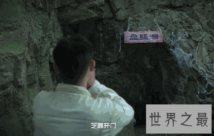 【图】葬爱家族非但不寂寞而且还能找寻来自恋情的温