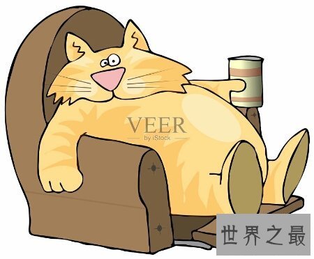 【图】除了怠慢 懈怠的近义词到底有那些呢