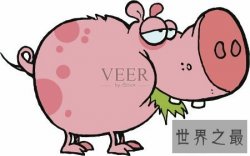 【图】除了怠慢 懒惰的近义词到底有那些呢