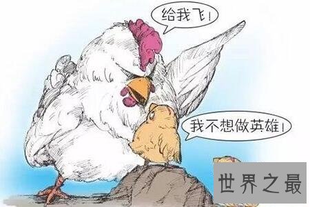 【图】不值得定律是每集体都有的心思可是这心思能够